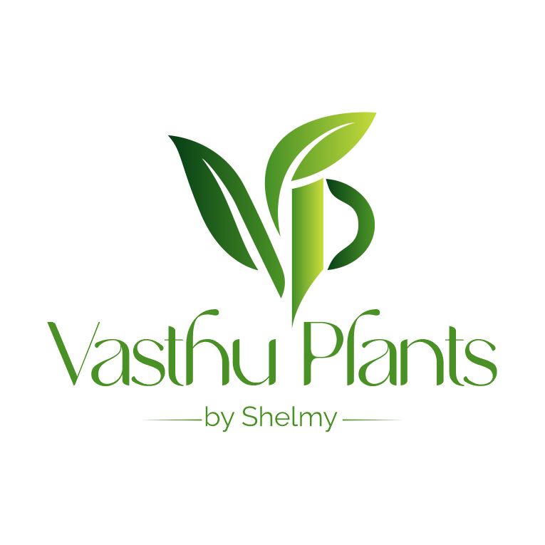 Freelance Digital Marketer in Kochi