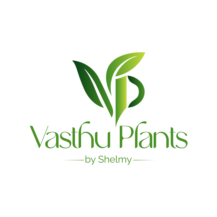Freelance Digital Marketer in Kochi