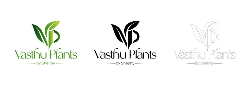 Best Freelance Digital Marketer and Graphic Designer in Kochi