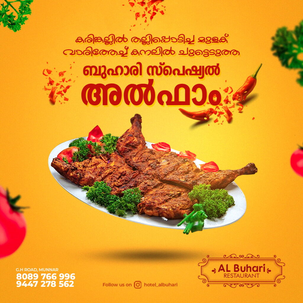 Best Freelance Digital Marketer and Graphic Designer in Kochi